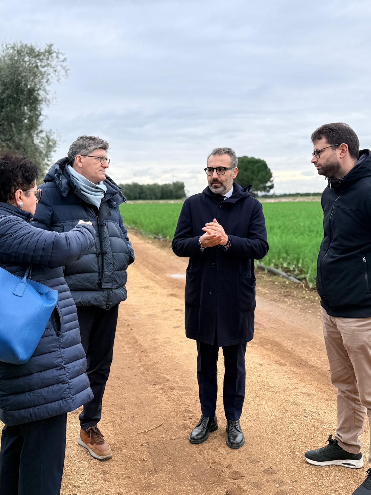 Galleria Xylella in agro di Bitonto, assessore Paolicelli: “Caso isolato, manteniamo alta l’attenzione