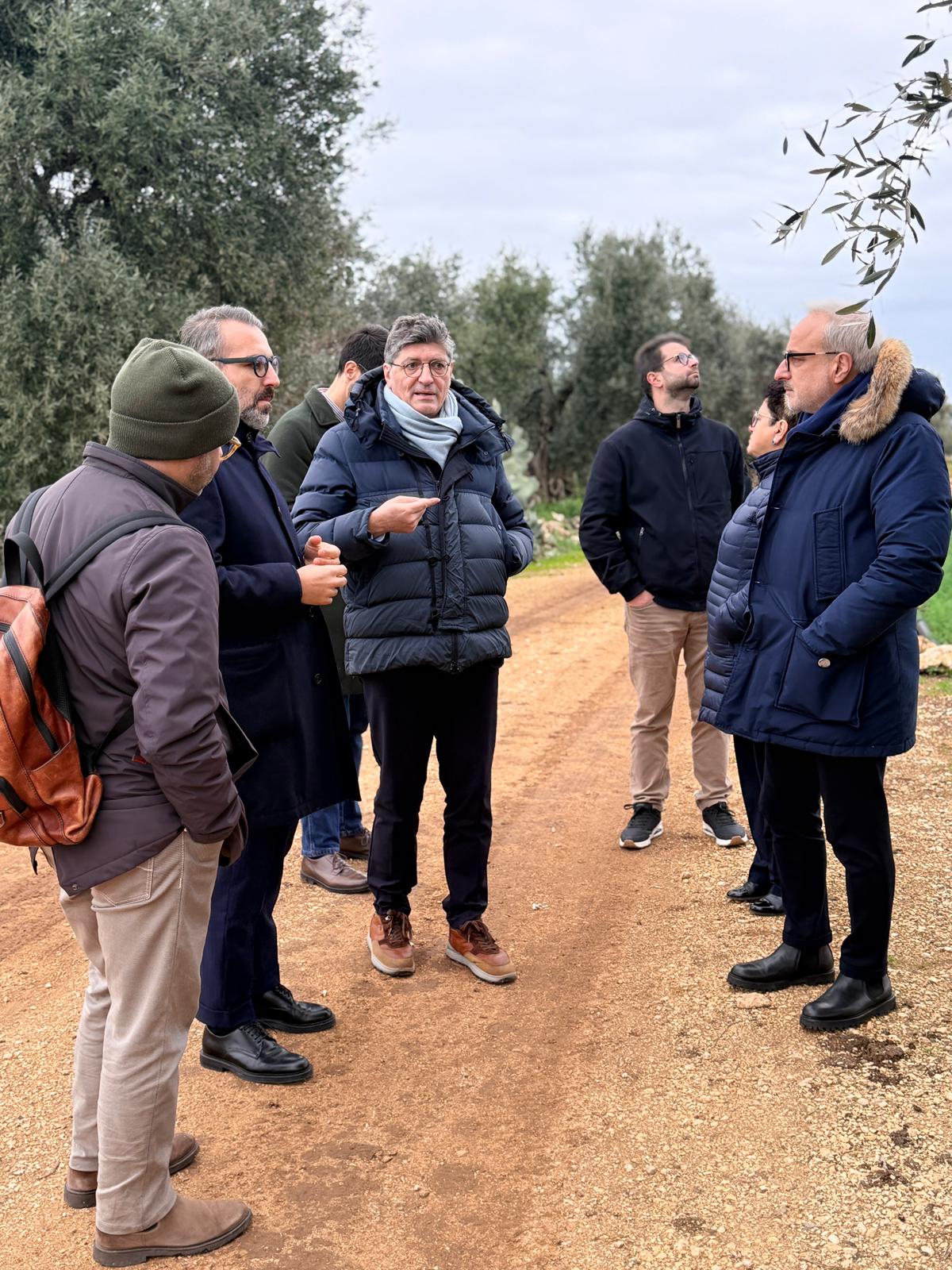 Galleria Xylella in agro di Bitonto, assessore Paolicelli: “Caso isolato, manteniamo alta l’attenzione