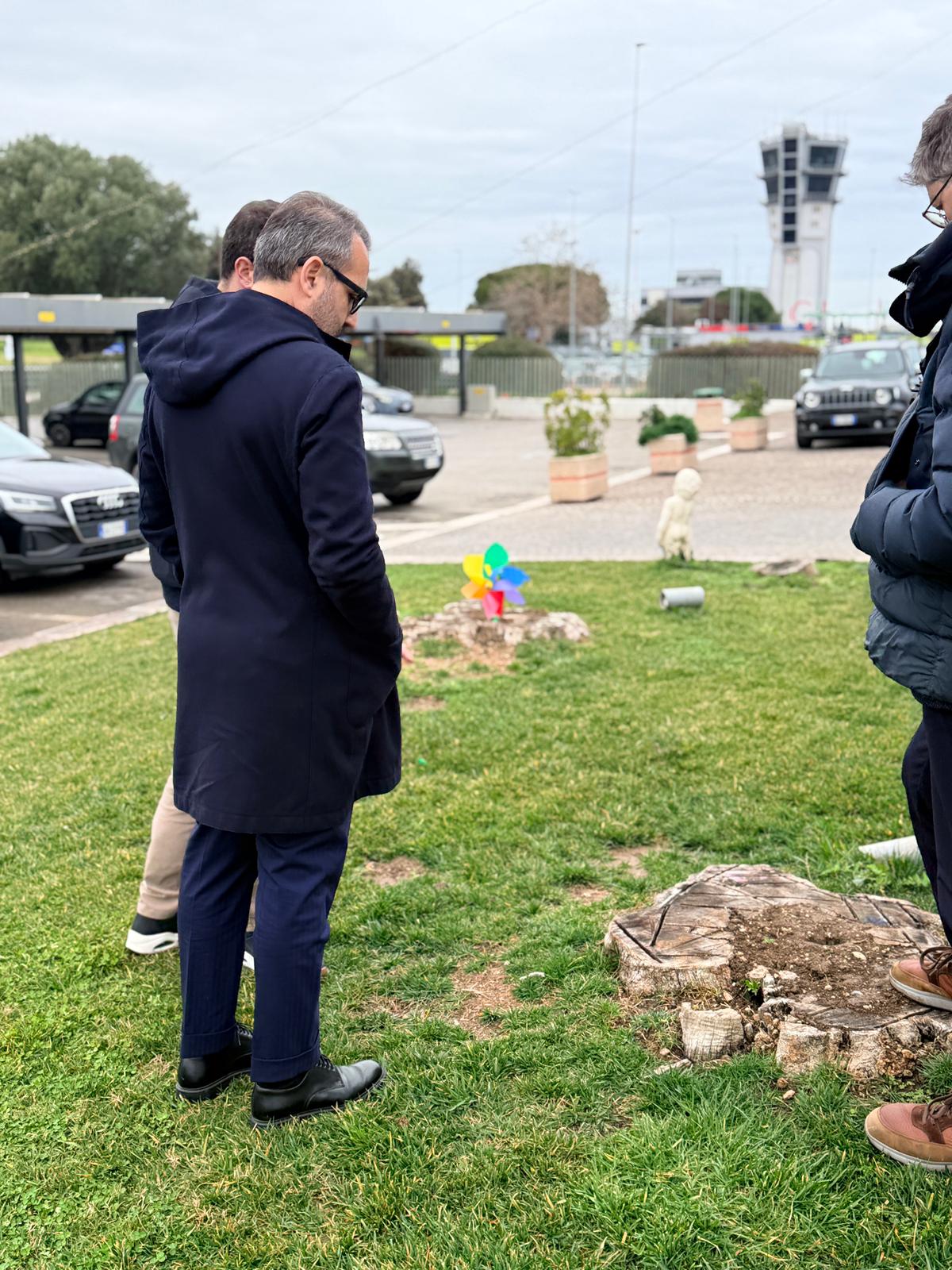 Galleria Xylella in agro di Bitonto, assessore Paolicelli: “Caso isolato, manteniamo alta l’attenzione